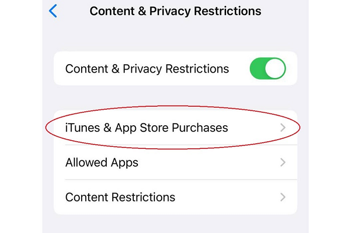 Không thể tải ứng dụng từ App Store